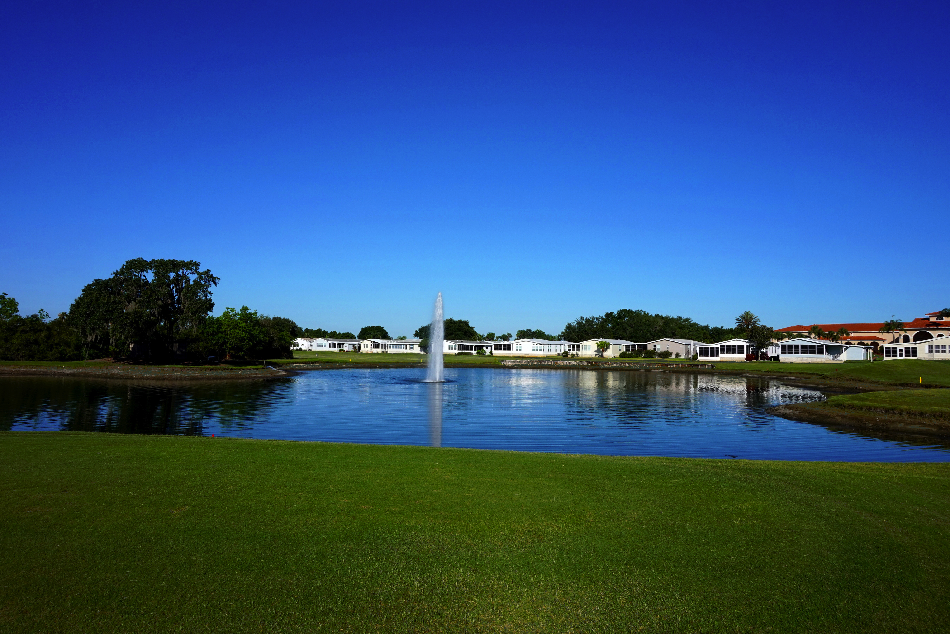four lakes golf club pond